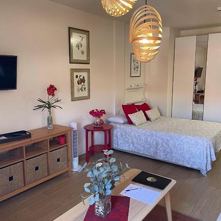 Apartamento Acogedor Y Centrico - Plaza Del Charco Puerto de la Cruz  Luaran gambar
